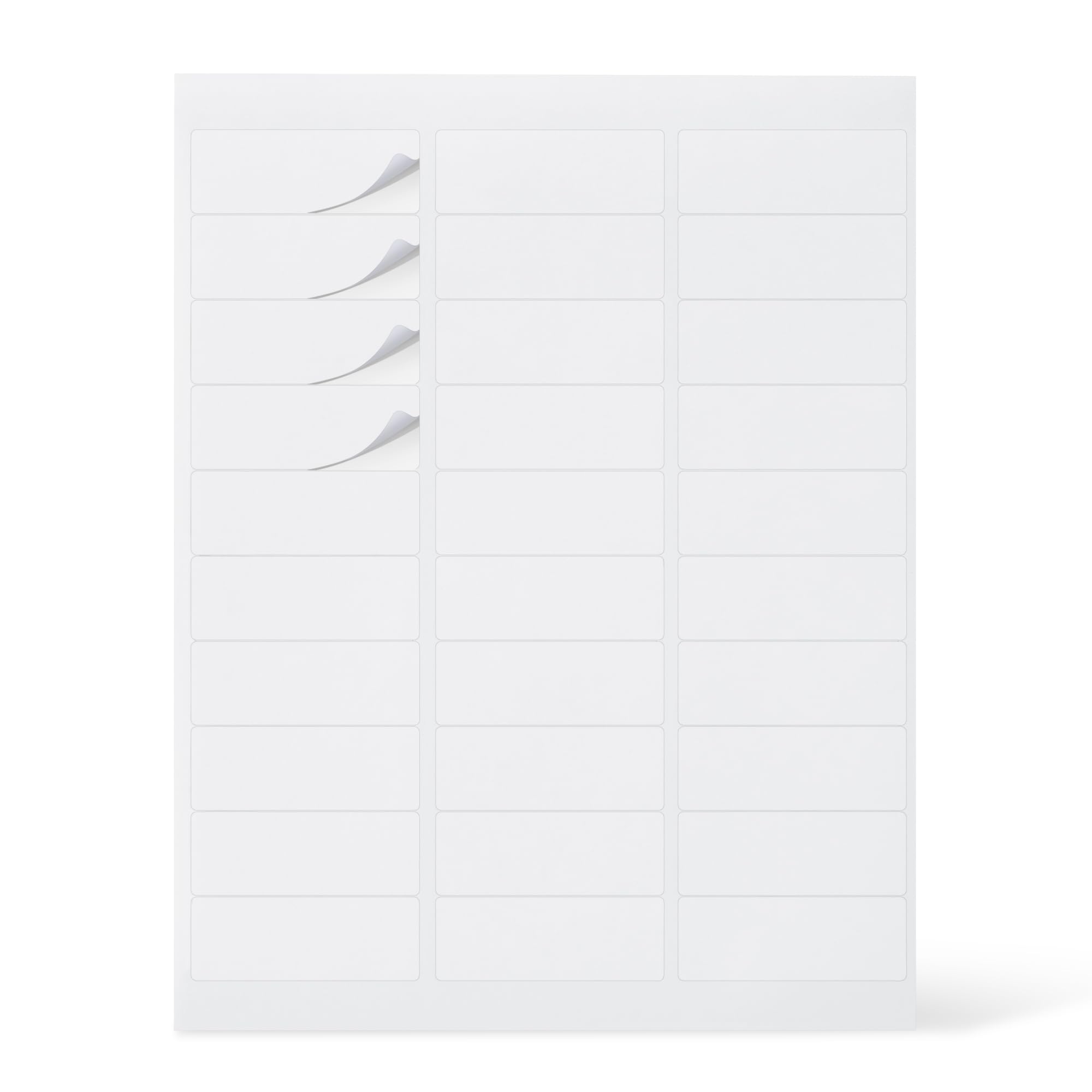Amazon Basics Address Labels 3000