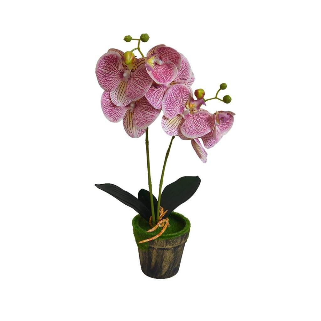 Fleurs Artificielles Bouquet de fleurs artificielles Phalaenopsis Bonsaï Convient for la décoration de bureau à domicile Surface de mise en page 40 cm Fleurs Artificielles Pour L'extérieur(C)