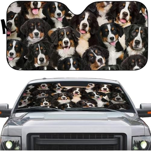 Pare-Brise Intérieur Universel Bouvier Bernois Protection Voiture au Soleil