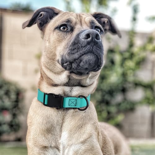 Image of Dogline Biothane Waterproof Dog Collar with Quick Release Buckle Strong Coated Nylon Webbing with Odor- Proof for Easy Care Easy to Clean Fits Small Medium Large Dogs, Cyan Blue 1 inch W 15-25 inch L