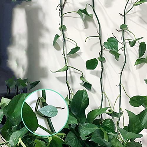 Cabilock Conjuntos de Planta Trepadeira 5 Folha Verde-Em Forma de Grampos de Fixação Na Parede Auto-