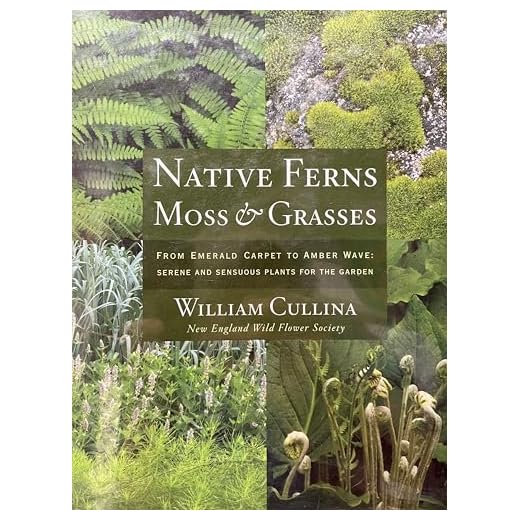 Best garden plants and shrubs sioux falls area Native Ferns, Moss & Grasses Book