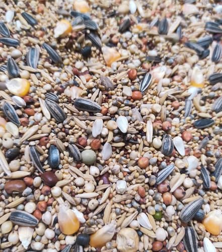 Image of R.S. Birds & Foxtail Millet Seed for Bird Food |Cockatiel & African Lovebird Bird Food | Daily Bird Feed Seed Mix 500gm