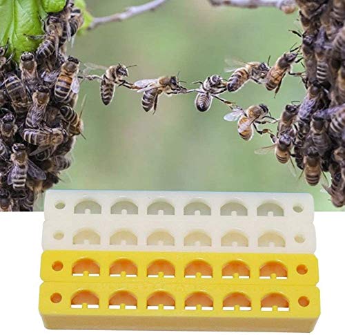 Beekeeping Tools, 10PCS Beehive Door Entrance, N-Type Hole Design, Anti-bee, Moth Grimace, Big Cockroaches into The Box, Beekeeping Equipment Beehive Tool