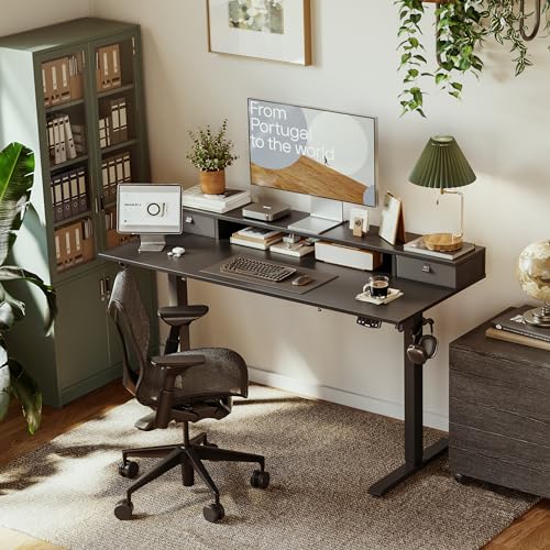 Image of Agilestic 48 x 24 Inches Electric Standing Desk with 2 Storage Drawers, Adjustable Height Sit and Stand Computer Table with Splice Board, Black