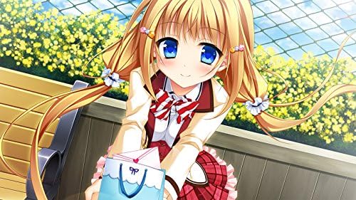 Amazon 花咲ワークスプリング Pcソフト Pcソフト