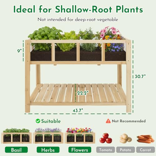Image of ketive Raised Garden Bed with Transparent Acrylic Panels, Elevated Wooden Raised Garden Bed Planter, Fir Wood Outdoor Planter Box for Herbs, Flowers & Patio Balcony Gardening (Natural)