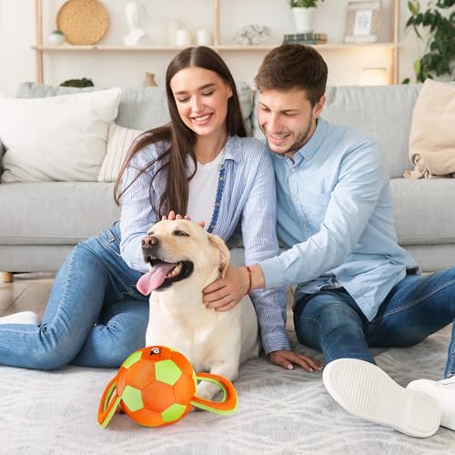 ALL FOR PAWS Handle Ball - Haltbares Hundespielzeug mit Quietscher, Hartes Hundespielzeug für aggressiv beißende Hunde, interaktives Spielzeug, Farbauswahl