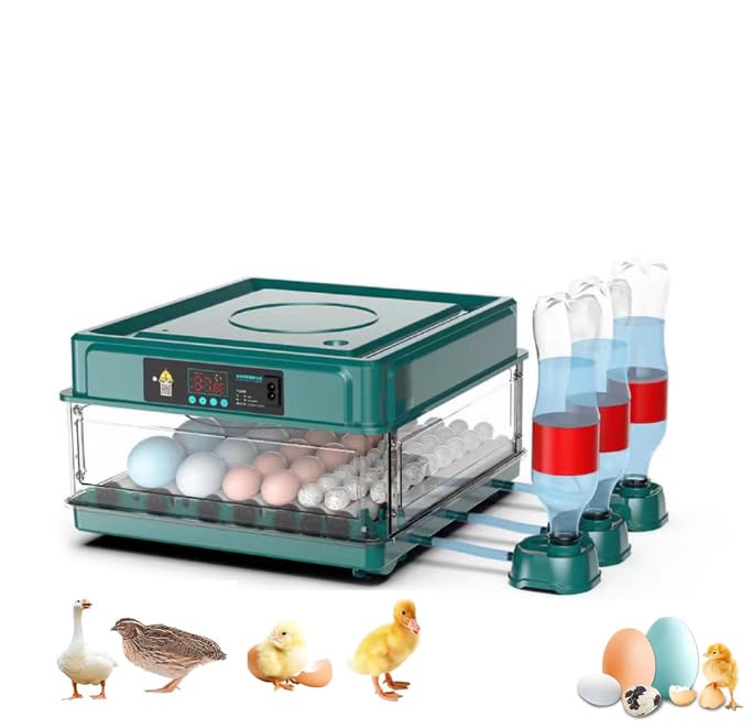 Couveuse œuf automatique pour réussir l'éclosion de vos poules
