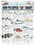Saltwater Fish Identification Chart #1 - Waterproof Quick Reference Fishing Guide - Species ID + Fishing Methods - (Florida, Atlantic, Gulf of Mexico, and Caribbean) - Great Gift for Beginners