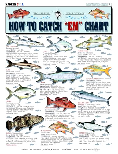 Saltwater Fish Identification Chart #1 - Waterproof Quick Reference Fishing Guide - Species ID + Fishing Methods - (Florida, Atlantic, Gulf of Mexico, and Caribbean) - Great Gift for Beginners