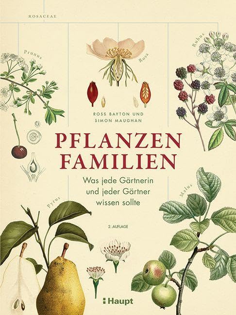 Pflanzenfamilien: Was jede Gärtnerin und jeder Gärtner wissen sollte