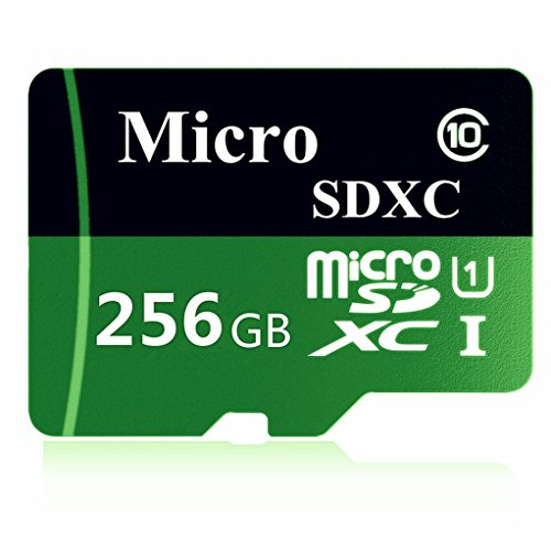 Generic Micro SD Card, 256GB Class 10 Micro SDXC with Adapter