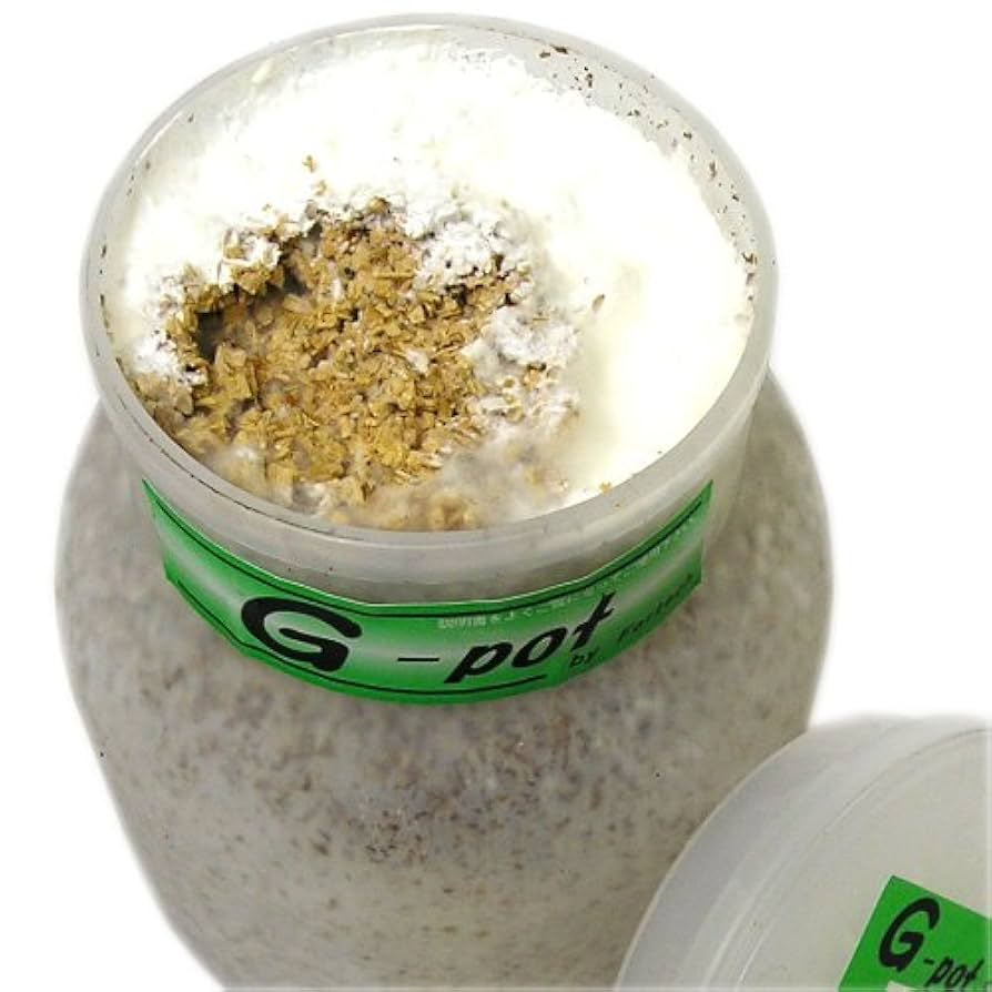 ドイツ産菌糸入り水晶 ドイツ産菌糸入り水晶 ドイツ産菌糸入り水晶