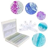 100PCS Microscope Slides Prepared with Specimens for Kids Students Biology Lab Sample with Insect Pl