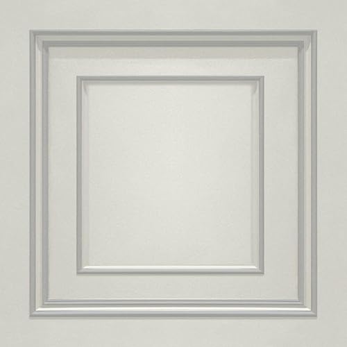 Amara 7388 - Papel tapiz transparente con efecto de panel de madera, ligeramente texturizado, color blanco y plateado