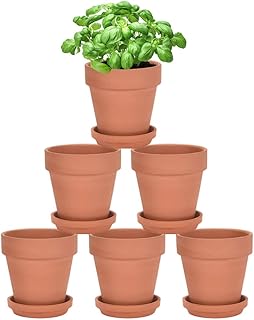 vensovo Terra Cotta Pots with Saucer - 6 Pack 5 Inch Clay Pot Ceramic Pottery Planter Cactus Flower Pots Succulent Pot Drainage Hole, Great for Plants, Crafts and Wedding Favor