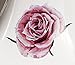 Victorian Roses Floral Bakery Vinyl Decals for Kitchen Mixers Stickers