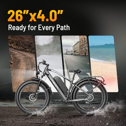 Jasion EB5 MAX Electric Bike for Adults with 2000W Peak