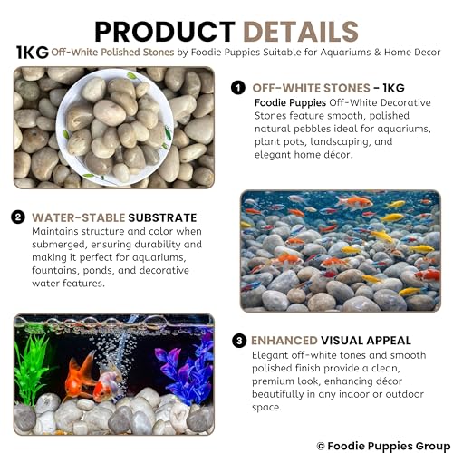 Image of Foodie Puppies 1Kg Off-White Polished Decorative Stones - (2.5cm - 4cm) Dull Finish Pebbles for Aquarium, Fish Bowl, Turtle Tank, Terrarium, Succulents, Garden Pot, Bamboo Plant & Home Decor Stones