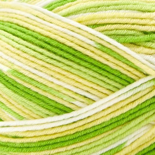 Image of Premier Yarns Fruits, Acrylic Sock Yarn, 2-Pack Bundled with Bella's Crafts Stitch Markers (Lime)