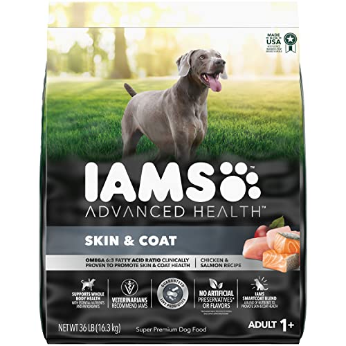 IAMS-Advanced-Health-Skin-Coat-Chicken-and-Salmon-Recipe-Adult-Dry-Dog-Food-36-lb-Bag-Brown IAMS Advanced Health Skin Coat Chicken and Salmon Recipe Adult Dry Dog Food 36 lb Bag Brown