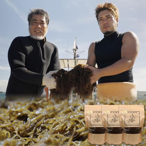 風味絶佳.沖縄 海人・島田親子の浜比嘉もずく(完熟)450g×3パック入り 沖縄県産 洗い塩蔵もずく 塩分濃度10% 洗わずそのまま使える 無添加