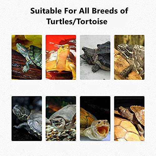 Forzena Sweater For Turtle - Small Animal Sweater Warm Winter Knitted Handmade Sweater Apparel Accessory Halloween Party Cosplay Costume Photo Shoot For Pet Tortoise Turtle (Xxl,Dinosaur C) #TOP3