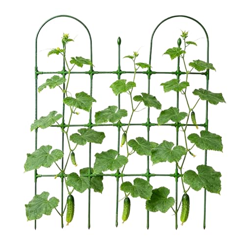 Enrejado de jardín para plantas trepadoras, rejilla ajustable de 35.4 x 47.24 pulgadas, enrejado al aire libre para plantas trepadoras, para rosas, pepinos, verduras, flores, tomate, uva, frijoles