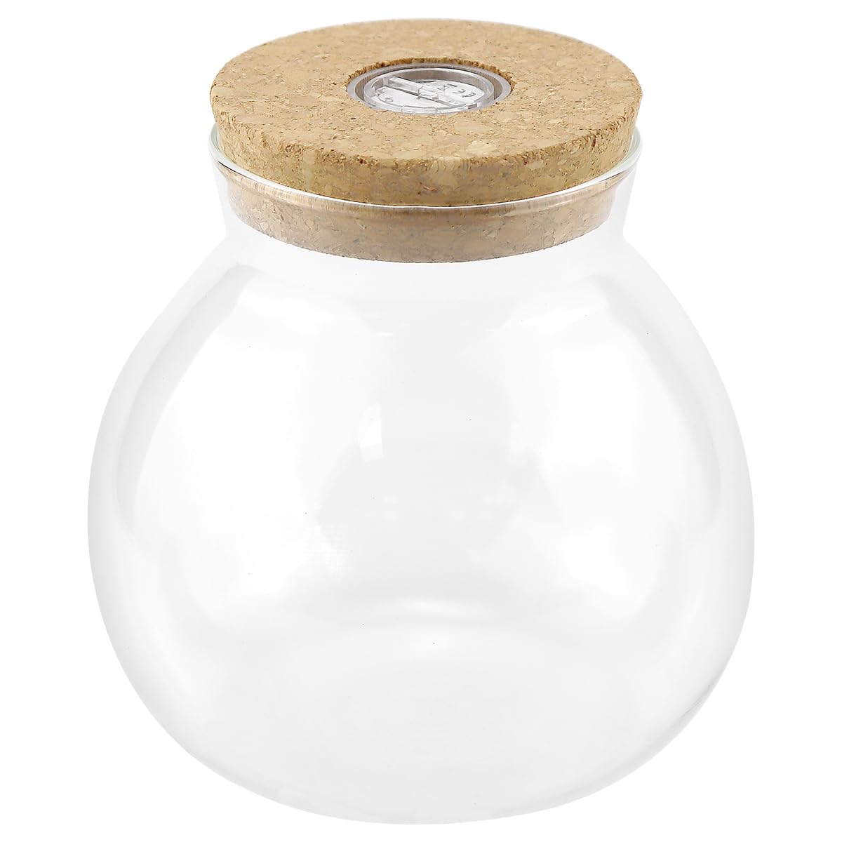 FERCAISH Micro Landscape Ecological Bottle, Globe Fish Bowl with Led Light, Terrariums with Cork Lid