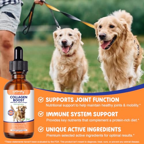 Kollagen Hund 60ml, Liquid Collagen for Dogs, Flüssiges Kollagen für Hunde Gelenke, Haut und Fell, Collagen Hund mit Biotin & MSM, Unterstützen Juckende Haut Relief und die Verdauungsgesundheit