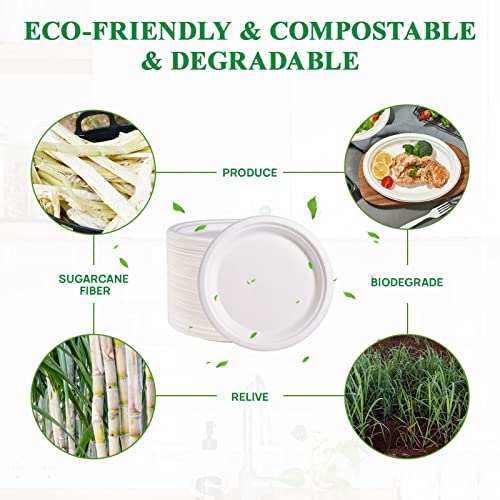 Vplus 150 Pack Paper Plates 9 inch 100% Compostable, Heavy-Duty Disposable Paper Plates Bagasse Natural Biodegradable Eco-Friendly Sugarcane(White)