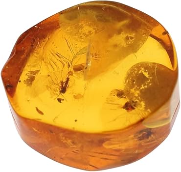 アンバー(琥珀)パウダー　ぱん Amazon | GALLERY megumi 鑑別書付き 天然 虫入り 琥珀 ルース 2.413ct