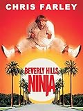  Beverly Hills Ninja