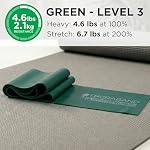 THERABAND Professional Latex Resistance Bands, Individual 6 Ft Elastic Band for Upper & Lower Body Exercise, Physical Therapy, Pilates, Home Workouts, 6 Foot, Blue, Extra Heavy, Intermediate Level 2