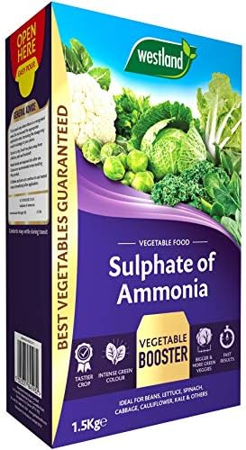 Westland 20600028 Sulphate of Potash Fruit and Flower Food, 1.5 kg