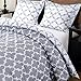 downluxe Printed Queen Comforter Set - Grey Queen/Full Comforter, Soft Bedding Sets for All Seasons -3 Pieces - 1 Comforter (88
