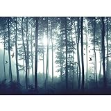 runa art carta da parati fotografica 396 x 280 cm uccelli foresta nebbia | vello decorazione murale soggiorno camera da letto | manifattura tedesca | blu 9326012a