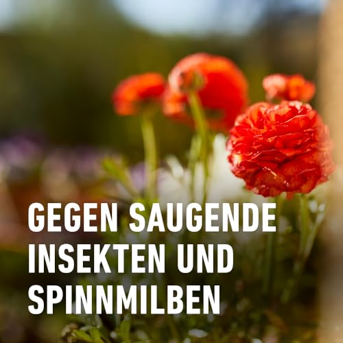 COMPO Grün- und Blühpflanzen Schädlings-frei AF 750ml, Grünpflanzendünger