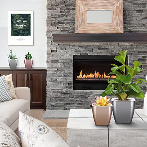 Hemoplt Plant Pots - Self Watering Pots For Indoor Plants - Planters For Indoor Plants - Pack Of 6 4" & 5" African Violet Pots - Orchid Pots - Champagne Gold - Silver - Rose Gold #TOP3