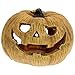 LUOZZY Pumpkin Shaped Reptile Hideout Cave Reptile Reptile Tank Hideout Habitat Decoration for Lizards Chameleons Geckos Frogs Turtles Snakes