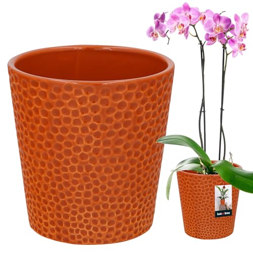 KOTARBAU® Keramik Blumentopf Dunkel Senffarben - Glasiert ⌀ 9,5 cm Höhe: 11 cm - Orchideentopf, Pflanztopf Modern für Zimmerpflanzen