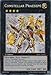 Yu-Gi-Oh! - Constellar Praesepe (HA07-EN061) - Hidden Arsenal 7: Knight of Stars - 1st Edition - Secret Rare