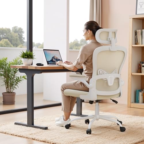 Homall Ergonomic Office Computer Chair,Computer Desk Chair with 3D Headrest
