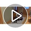 Runner Rug for Kitchen Non Slip 2'6''x8' Washable Rugs with Rubber Backing Soft Floral Animal Carpet Runner for Kitchen, Laundry, Bedroom, Bathroom (Beige)
