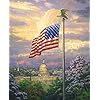   Americas-Pride-Panel-36x44-in-Digitally-Printed-White-House-Capital-Design-by-David-Textiles-100-Quilting-Cotton-Fabric-Sold-by-Panel