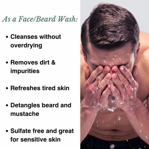 Abbot Kinney Apothecary Beard Wash Shampoo And Facial Cleanser For Men | Cleans And Moisturizes Face And Mustache | Sulfate Free With Tea Tree Oil And Natural Ingredients | Skin Care, 8 Fl Oz #TOP1