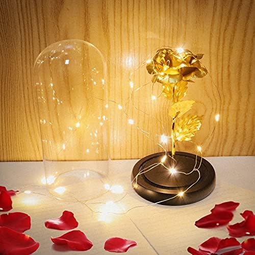 TINYOUTH Light Up Rose In Glass Dome Black Base, 24K Gold Rose with 20 LEDS String Light, Batteries Included Beauty and the Beast Rose for Women/Her/Mum Wedding Anniversary Valentines Birthday Xmas