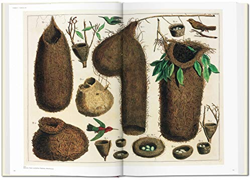 Cabinet of Natural Curiosities / Das Naturalienkabinett / Le Cabinet des curiosites naturelles: The