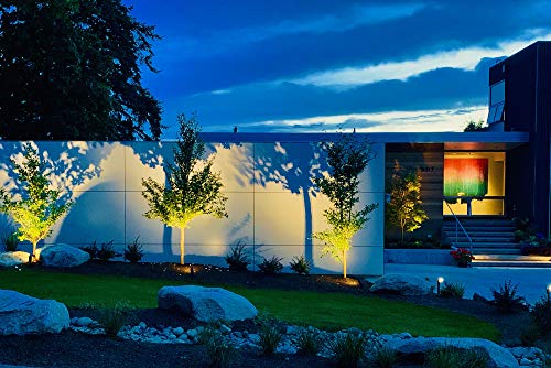 Lumion Outdoor Lighting 2-Pack Ignite Led Spot Light Powder Coated Black Includes 4 Watt 2700K Mr-16 Led Lamp And 2 Water Resistant Grease Filled Wire Connectors #TOP4